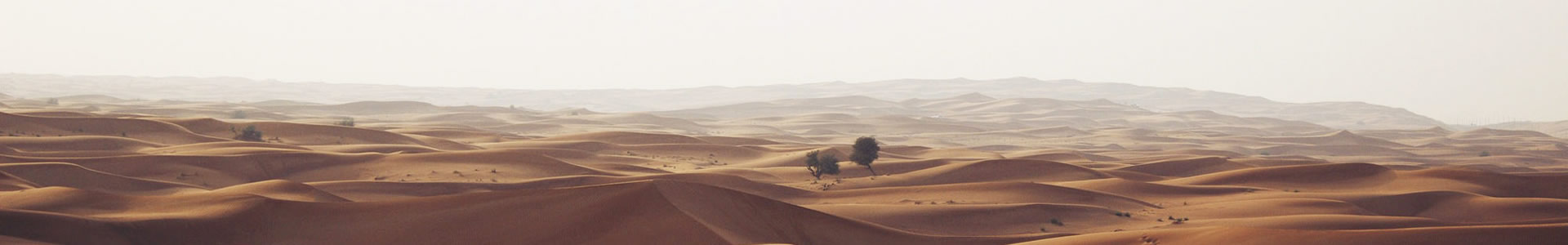 ݸмɵӿƼ޹˾